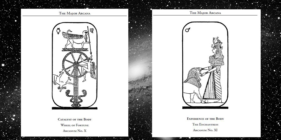 Brief Analysis of The 10th and 11th Archetypes: Catalyst of The Body & Experience of The Body