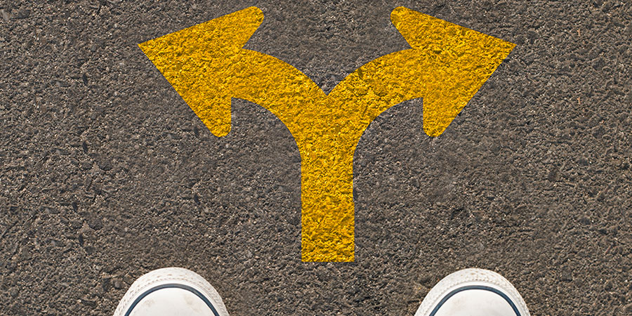 What is the "Law of Freewill" or "Way of Confusion" or "Freedom of Choice"?