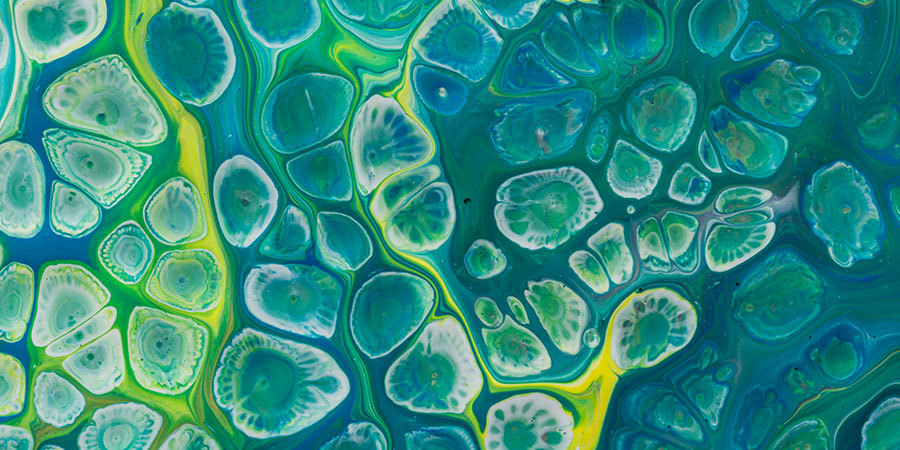 Simplest Cell Organisms to Manifest Energy Centres E.g. Polymorphous Dinoflagellate