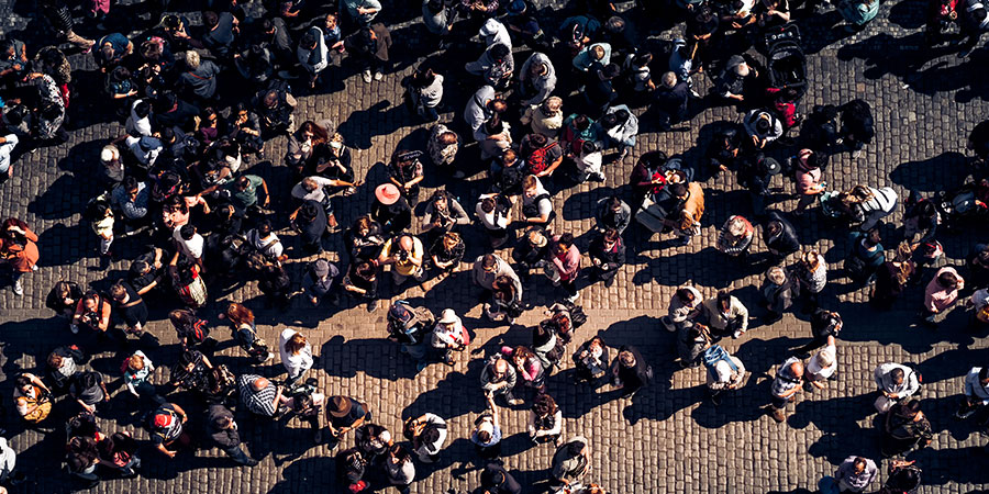 What is a "Social Memory Complex"?