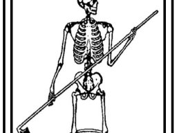 Arcanum #13 Amended - Transformation of the Body - Death